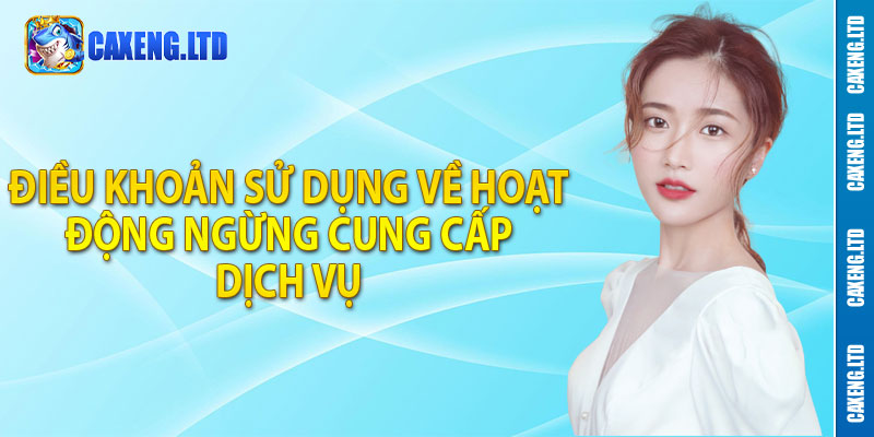 Điều khoản sử dụng về hoạt động ngừng cung cấp dịch vụ